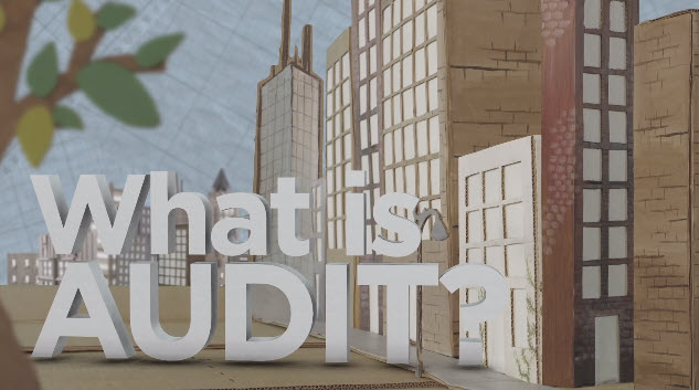 What is audit